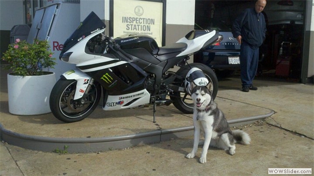 NiceCycle Monster Energy Kawasaki Fairings