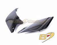 Ducati Streetfighter V4/V4 S 2020-2021 Carbon Fiber Tail Fairing